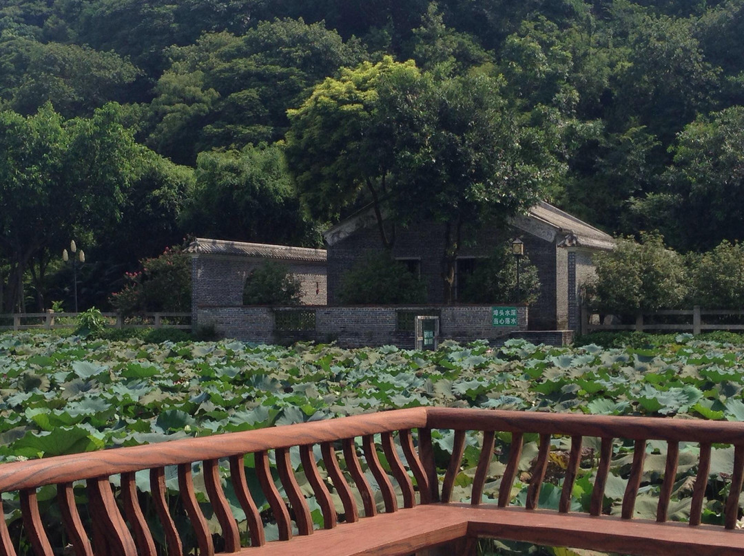 李小龙乐园-佛山市必去景点