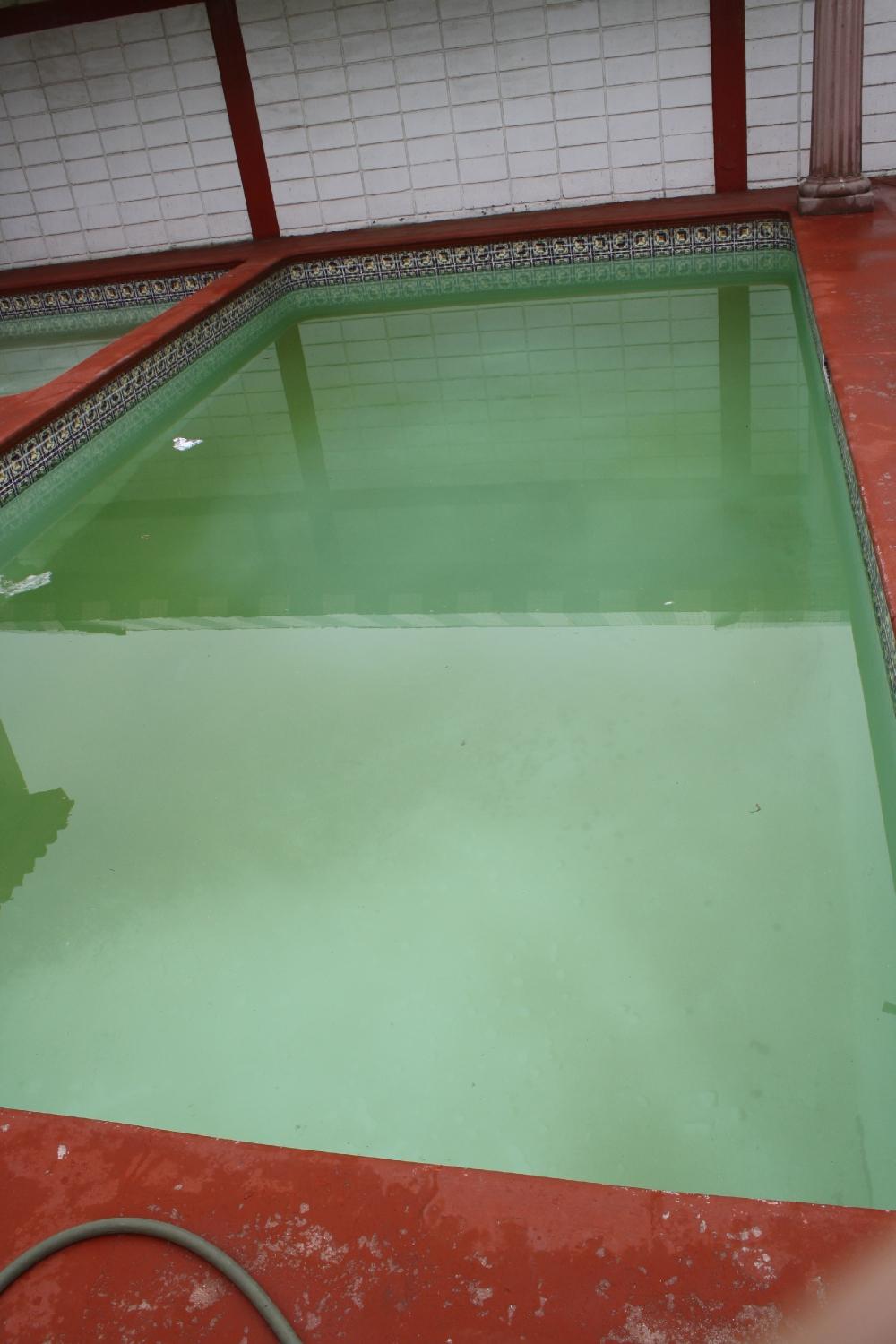 Hotel Sausalito-泳池