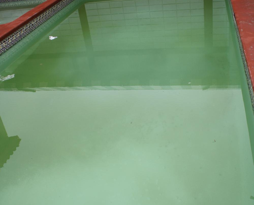 Hotel Sausalito主图