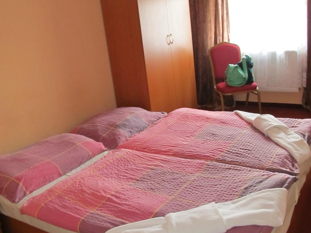 Hotel Cerny Orel主图