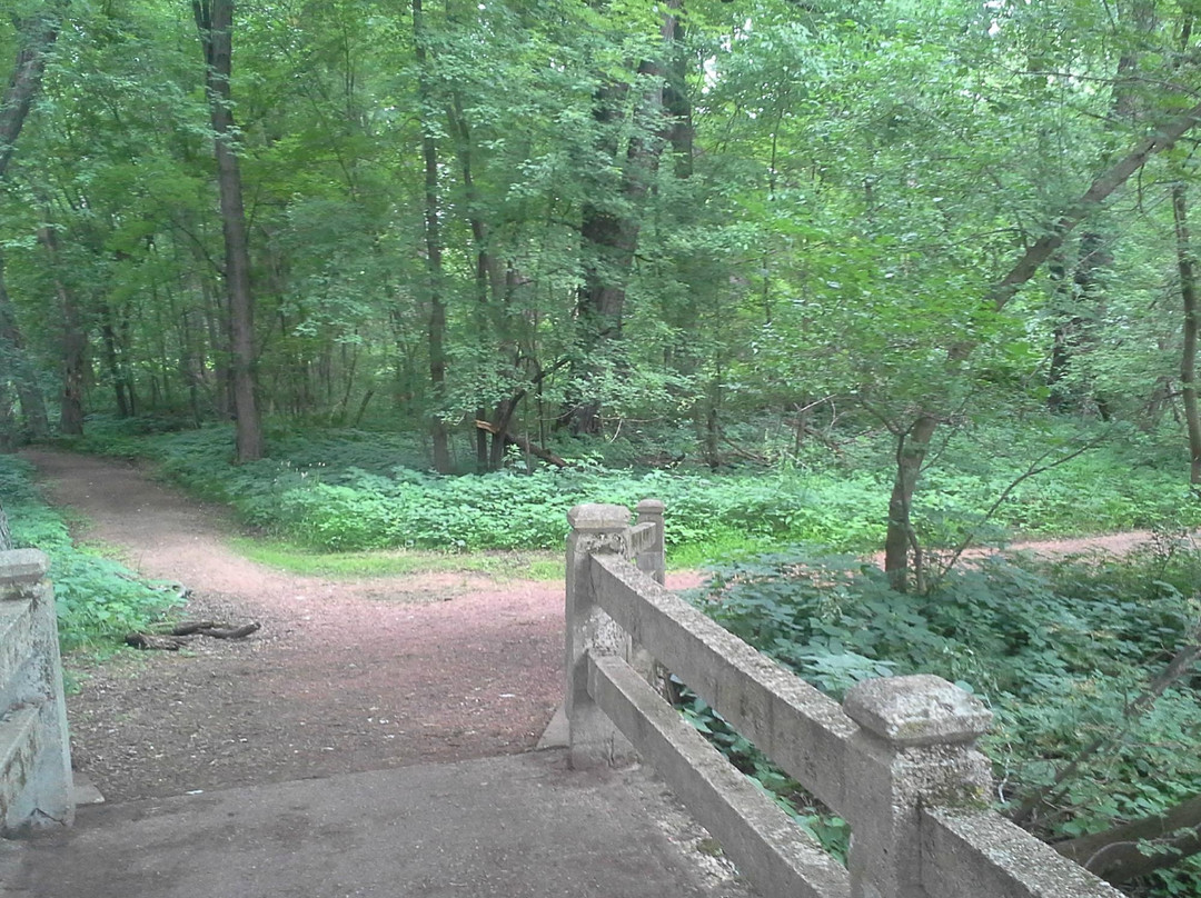 Isle of Ferns Park-Wausau必去景点