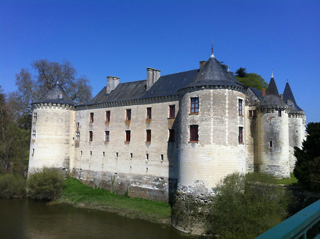 Château de la Guerche景点图片