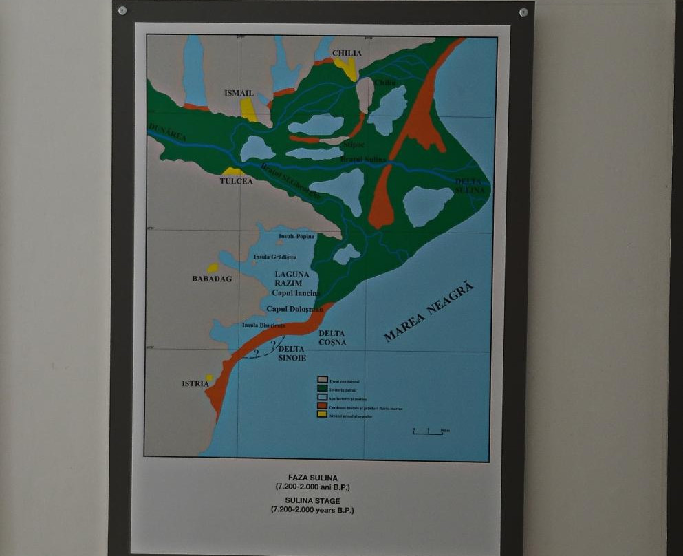 The Danube Delta Museum景点图片