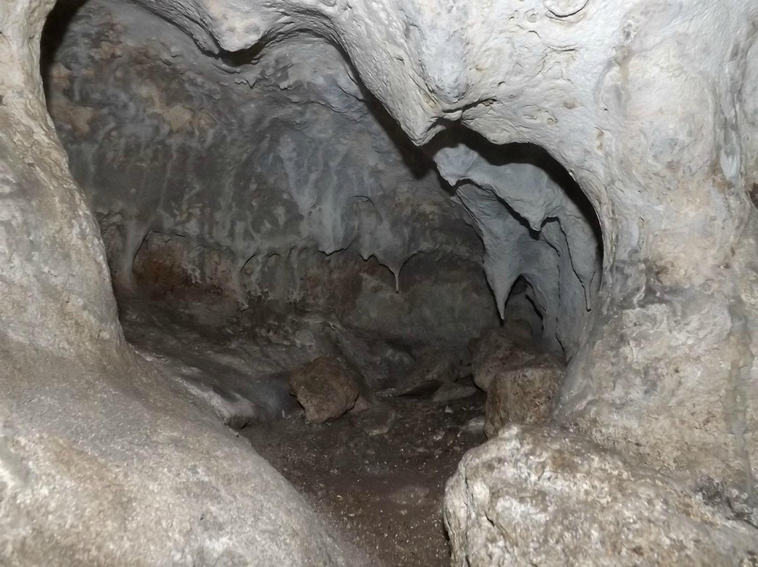 Riserva Naturale Grotta di Carburangeli景点图片