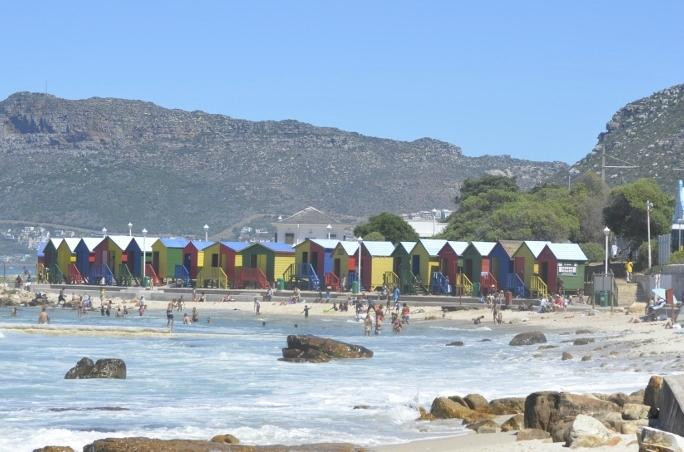 CapeScot Tours-Rondebosch必去景点