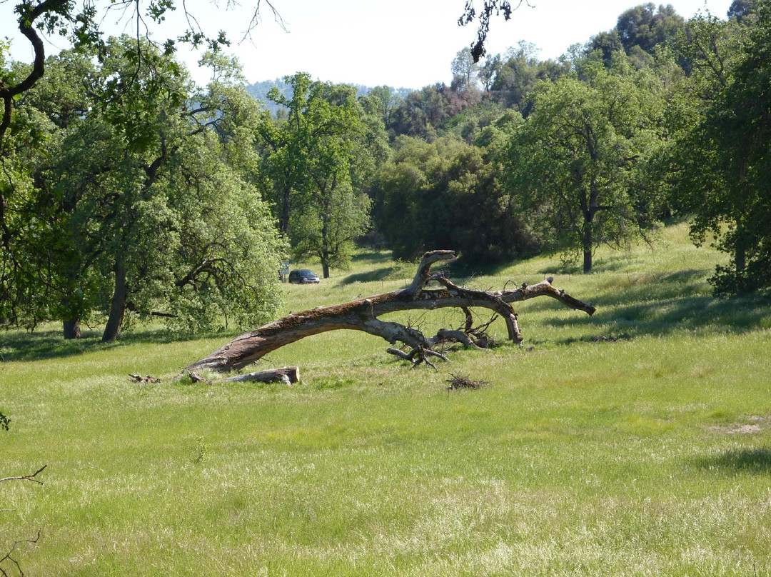 Ahwahnee Hills Regional Park-Ahwahnee必去景点