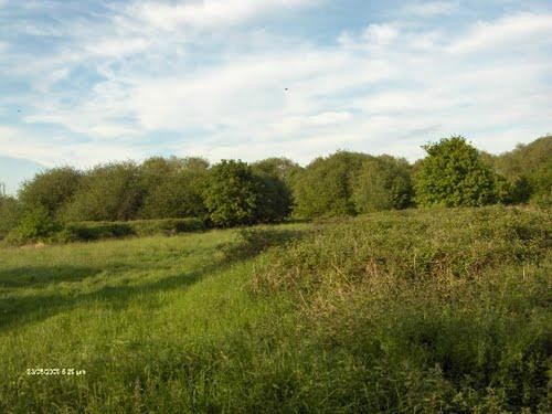 Hillingdon Trail景点图片