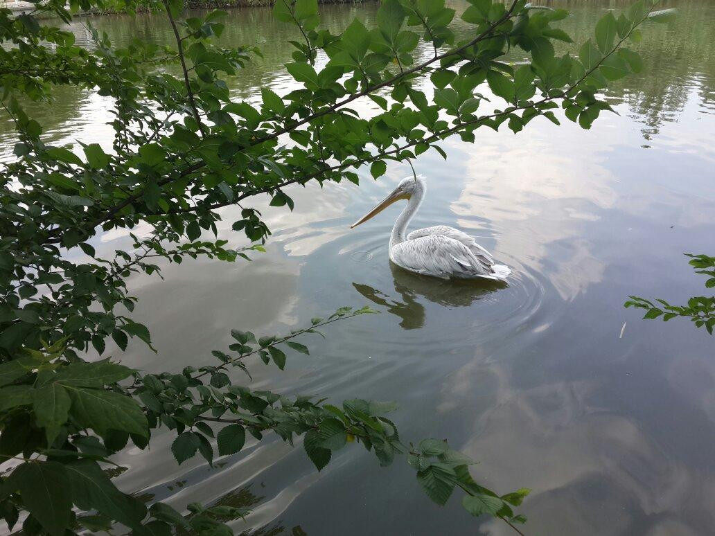 Rostov Zoo景点图片
