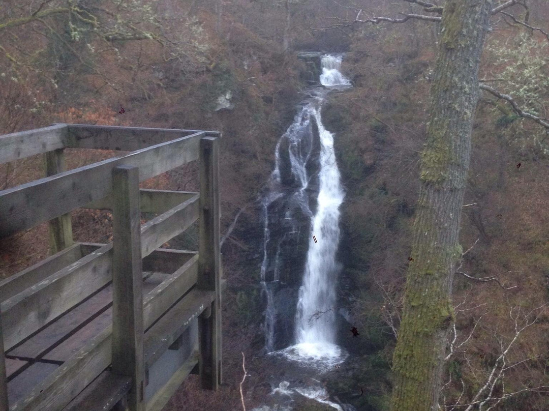 Black Spout Wood景点图片