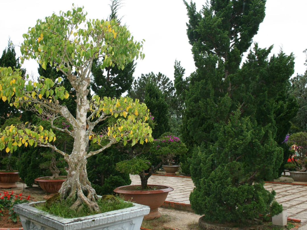 竹林禅院-大勒必去景点