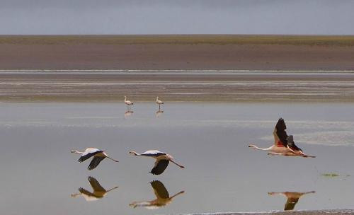 Laguna Hedionda-乌尤尼必去景点