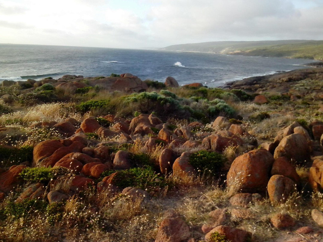 Cape Leeuwin Lighthouse景点图片