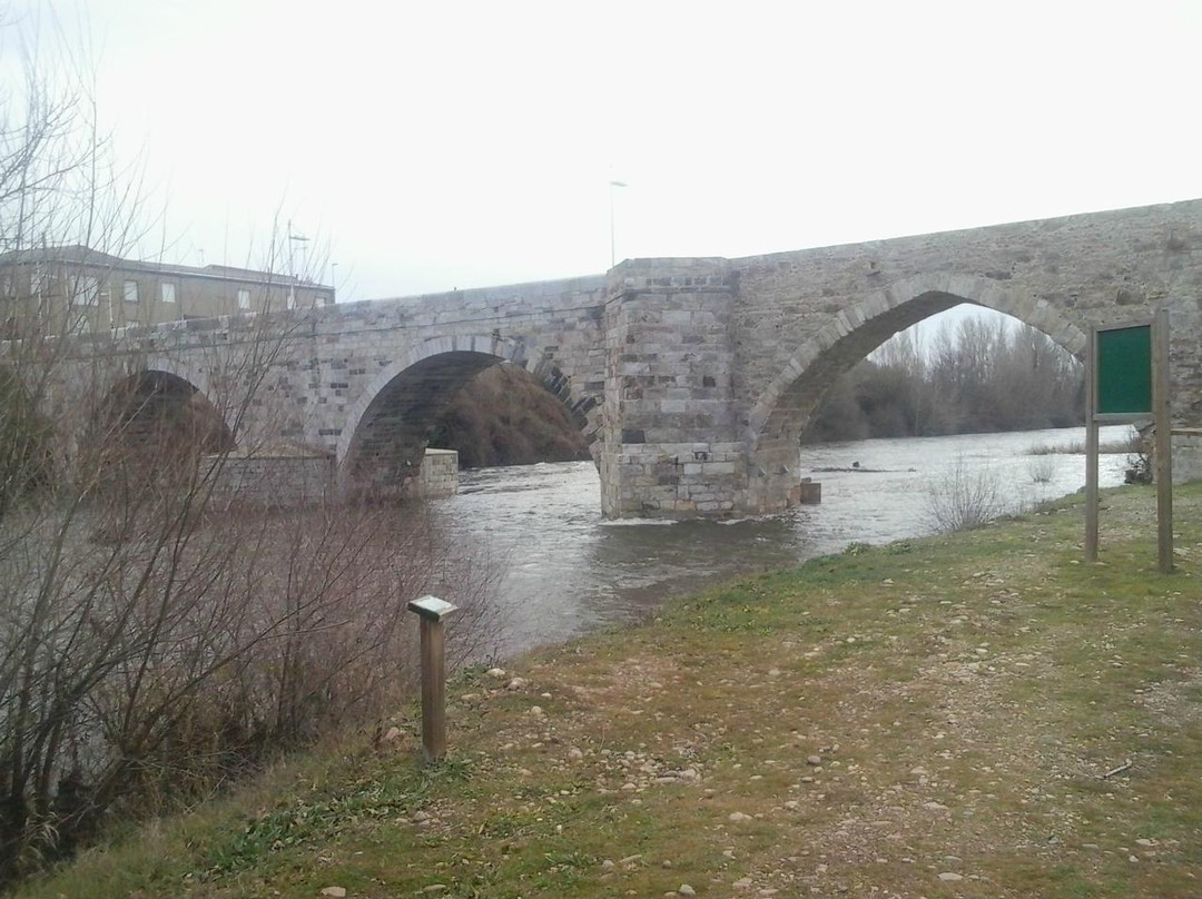 Puente del Passo Honroso景点图片