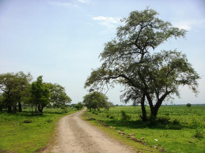 Baluran National Park-Situbondo必去景点