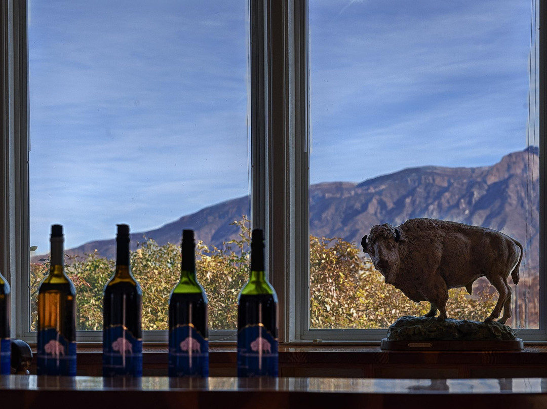 Corrales Winery-科拉雷斯必去景点