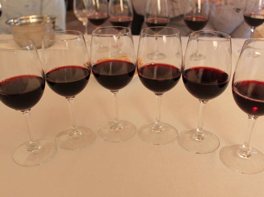 Erasmo-San Javier必去景点