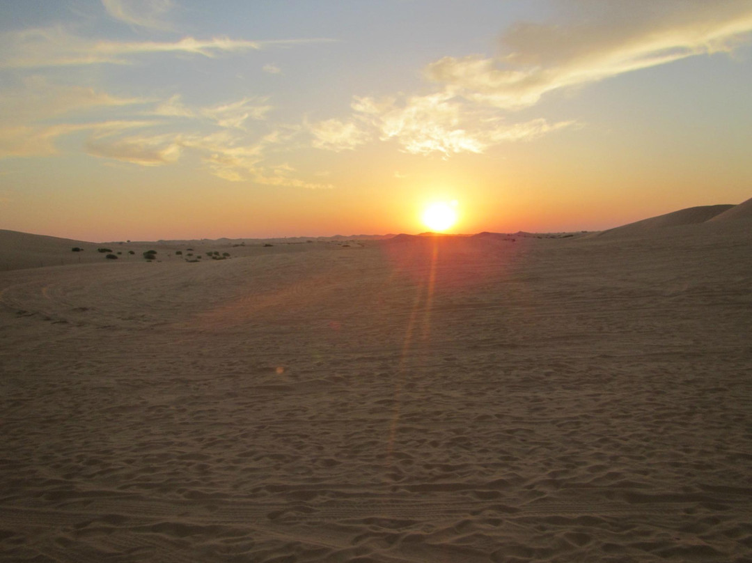 Abu Dhabi Desert Safari-阿布扎比必去景点