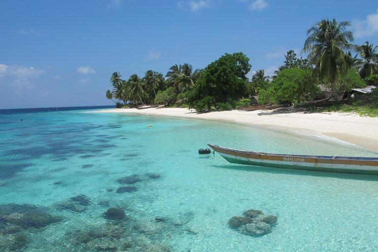 Sea Sanctuaries Trust-四王岛必去景点