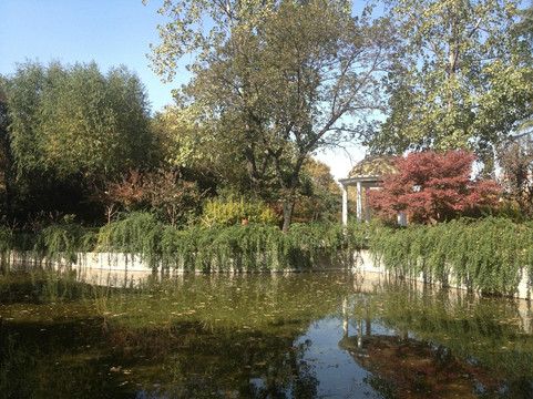 面条步行之旅-上海市必去景点