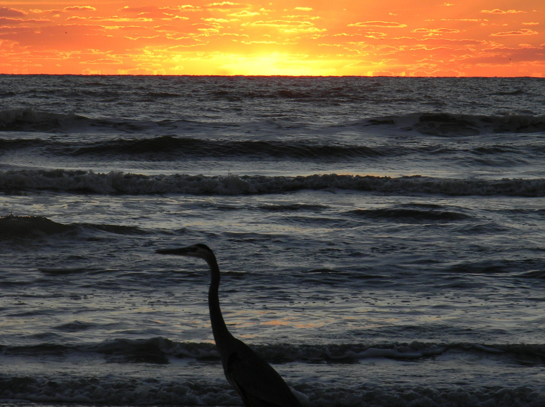帕德里岛国家海滨-科珀斯克里斯蒂市必去景点