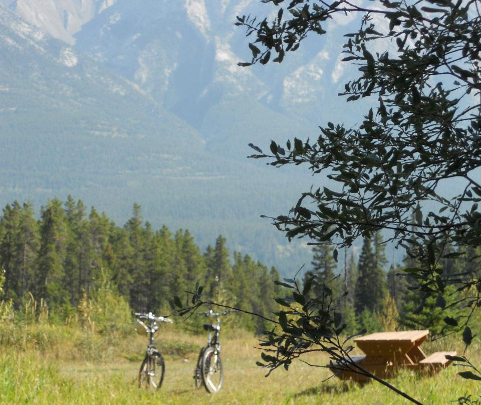 省立坎莫尔诺蒂克中心公园 -坎莫尔必去景点