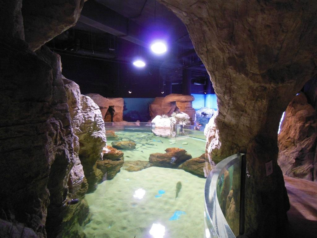 Bugibba Water Park-Bugibba必去景点