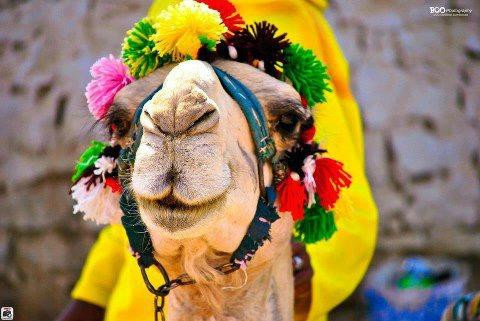 Going Holidays-纳布克湾必去景点