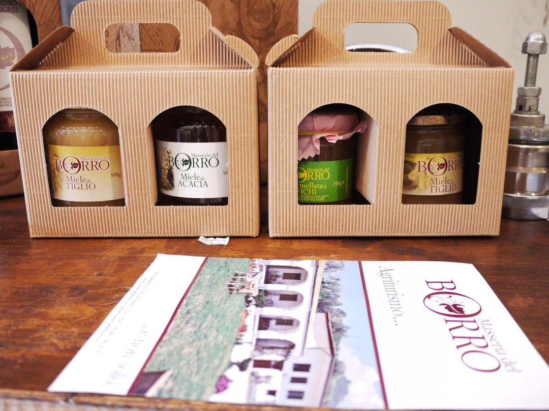 Tenuta Monte Sant'Angelo主图