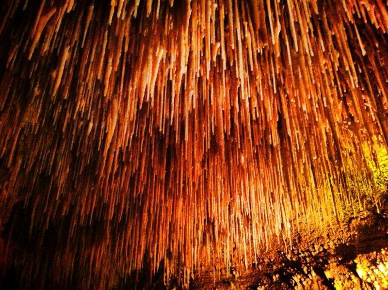 Grottes de Cougnac景点图片