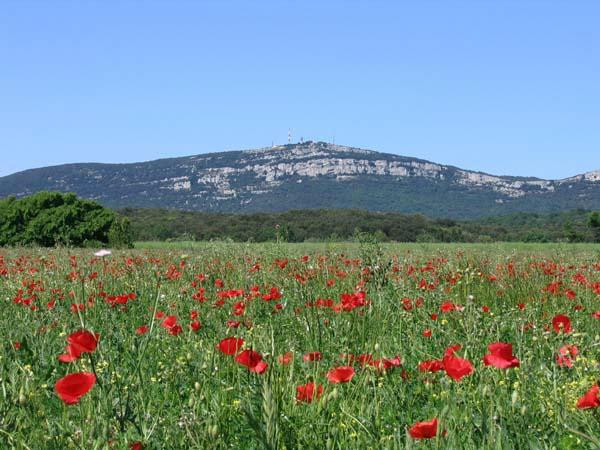Village Velo-Saint-Quentin-la-Poterie必去景点