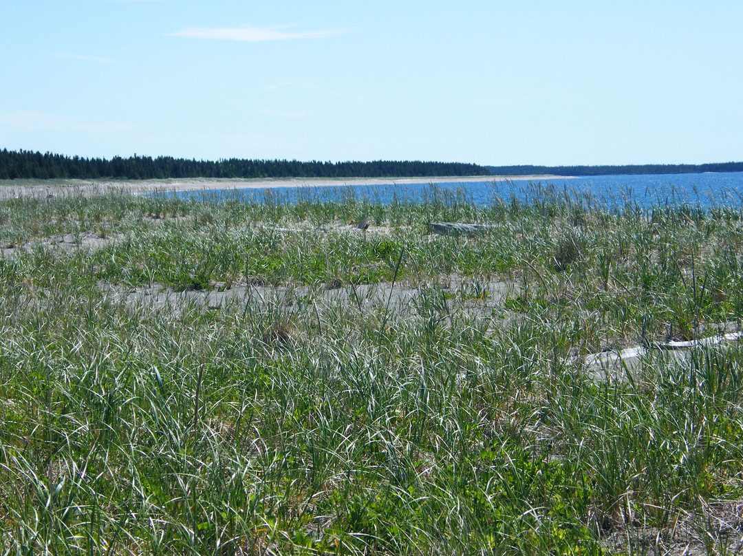 Mingan Archipelago National Park Reserve-Havre St. Pierre必去景点