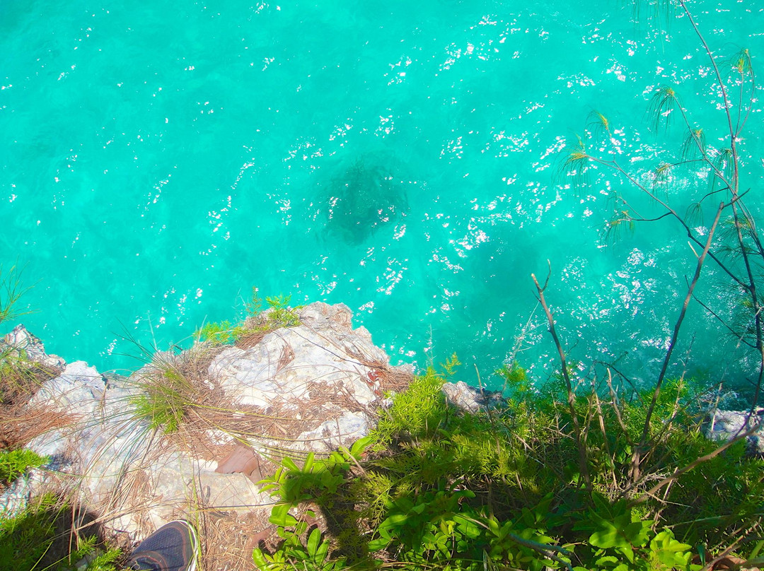 Admiralty House Park-汉密尔顿必去景点