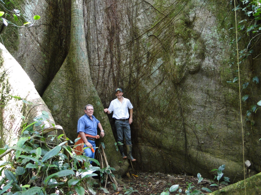 Cinco Ceibas Rainforest Reserve and Adventure Park景点图片