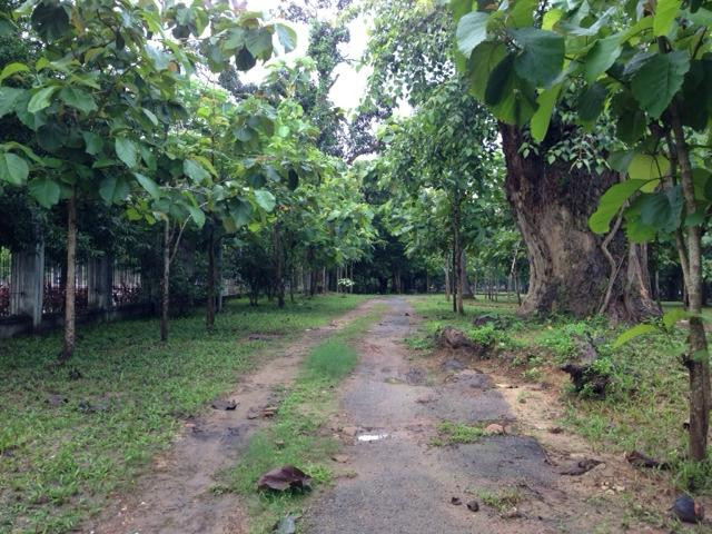 People's Square and Park-仰光必去景点
