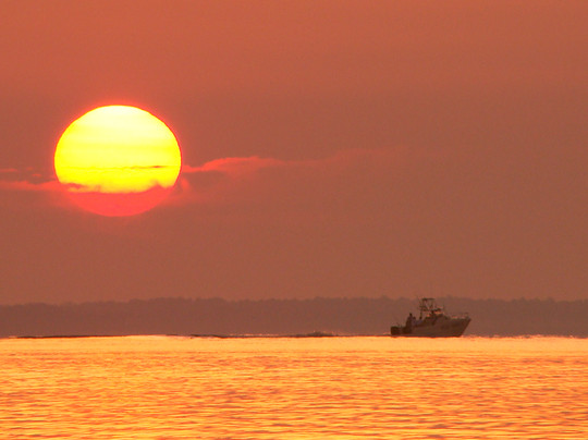 A-Pair-A-Dice Charters - Private Tours-橙色海湾必去景点