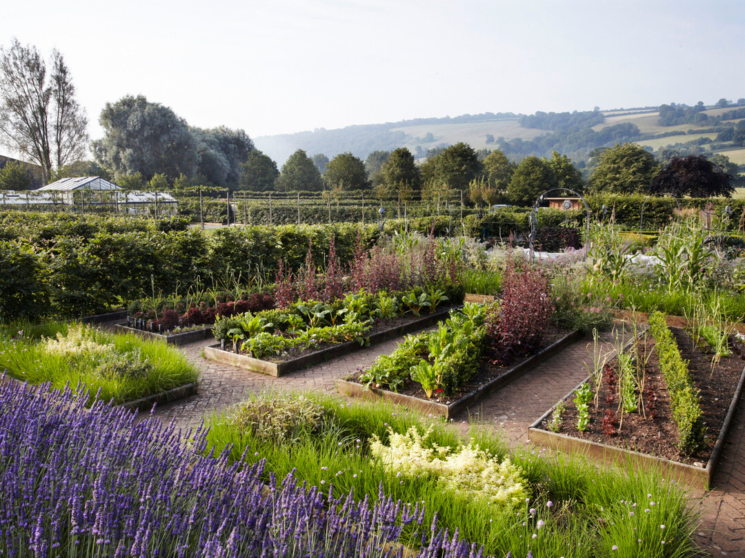 Yeo Valley Organic Garden景点图片