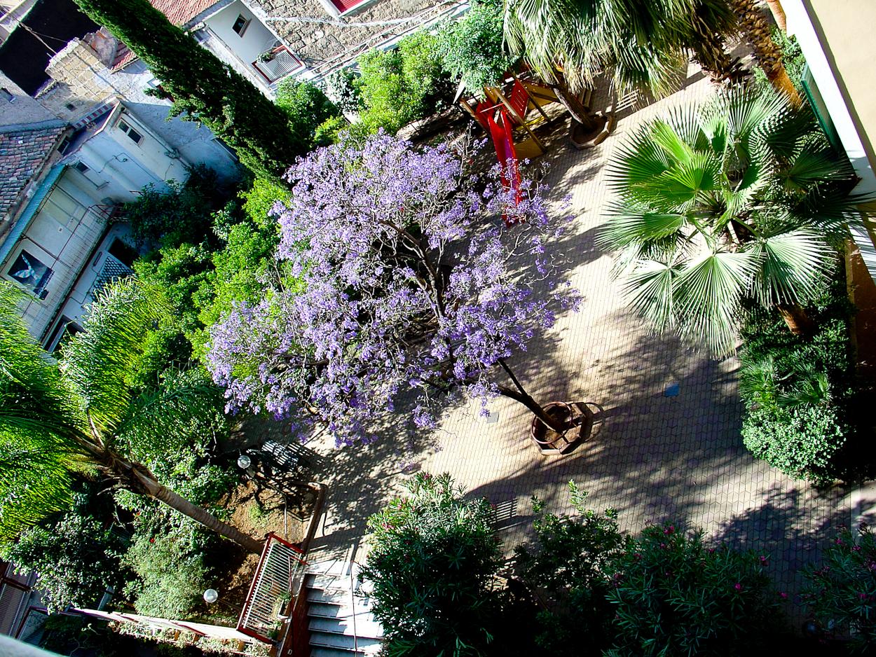 Foresteria Centro Diaconale La Noce -  Istituto Valdese-酒店景观