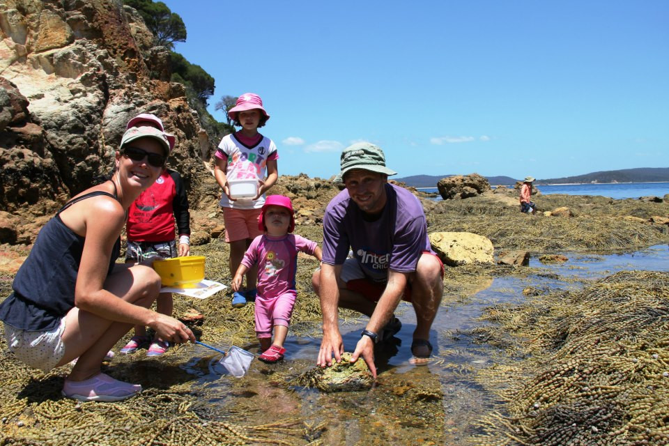 Sapphire Coast Marine Discovery Centre-伊登港必去景点