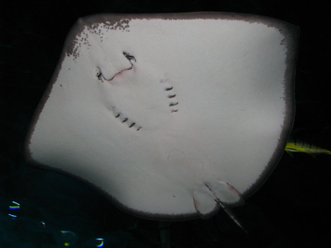 海昌极地海洋世界-天津市必去景点