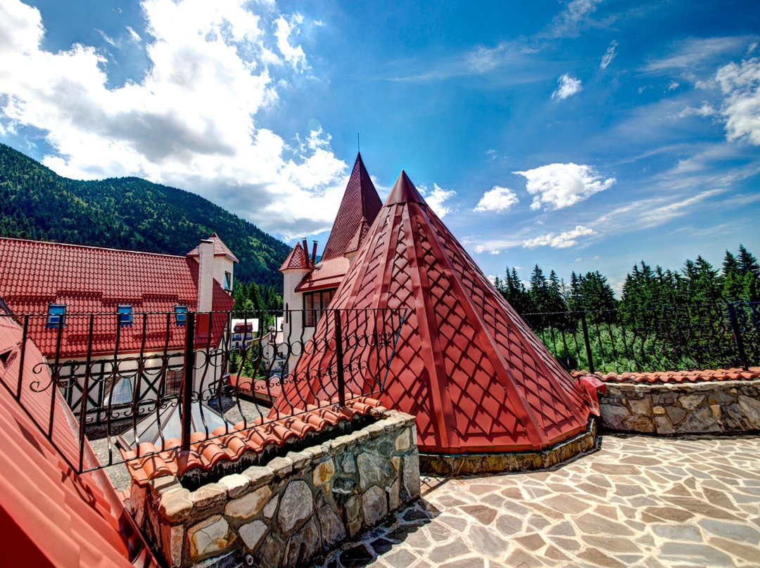 波亚纳布拉索夫酒店住宿-House of Dracula Hotel