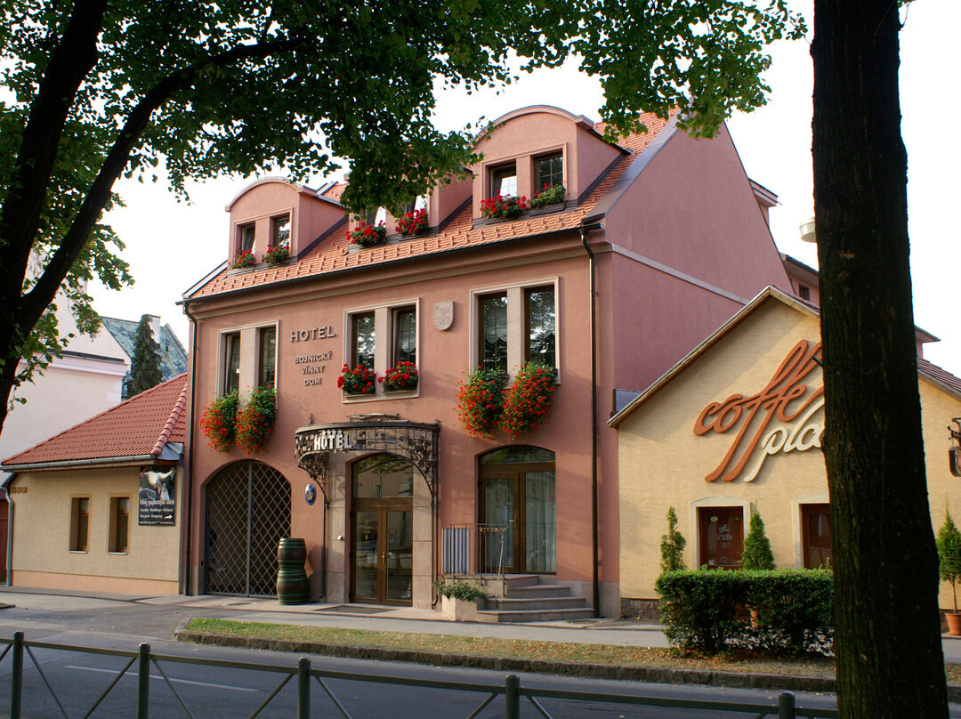 Bojnice酒店住宿-Hotel Bojnicky Vinny Dom
