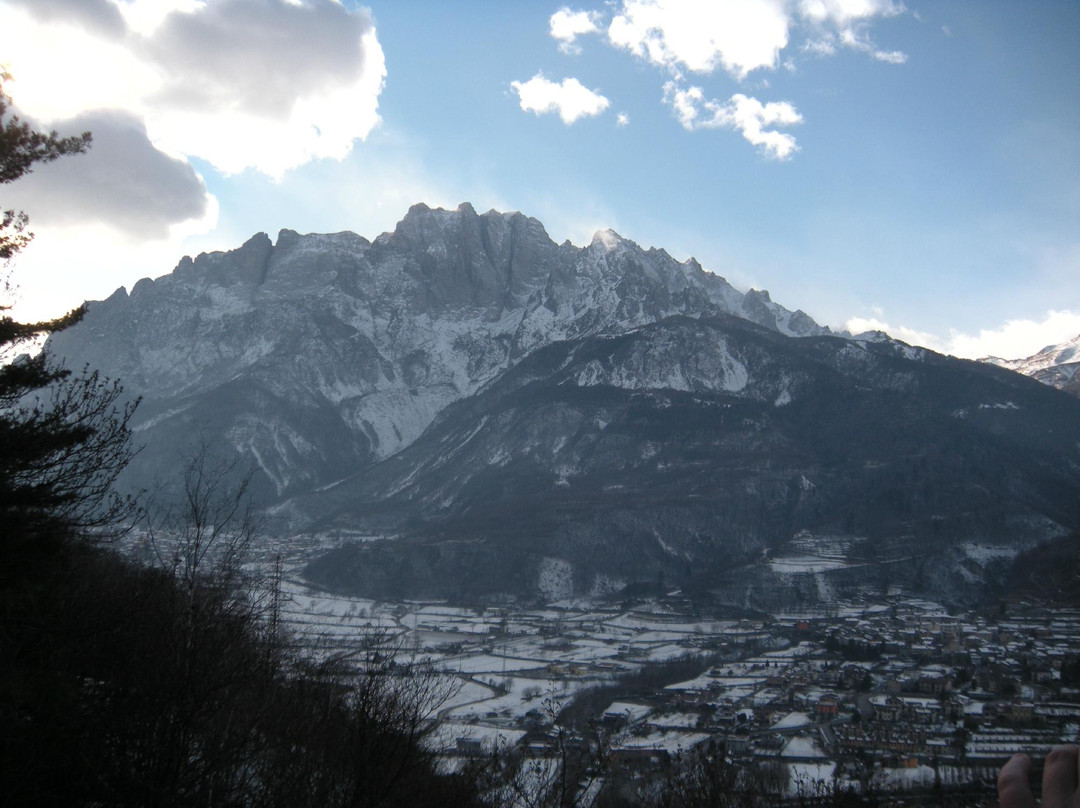 Parco Comunale delle Incisioni Rupestri di Luine景点图片