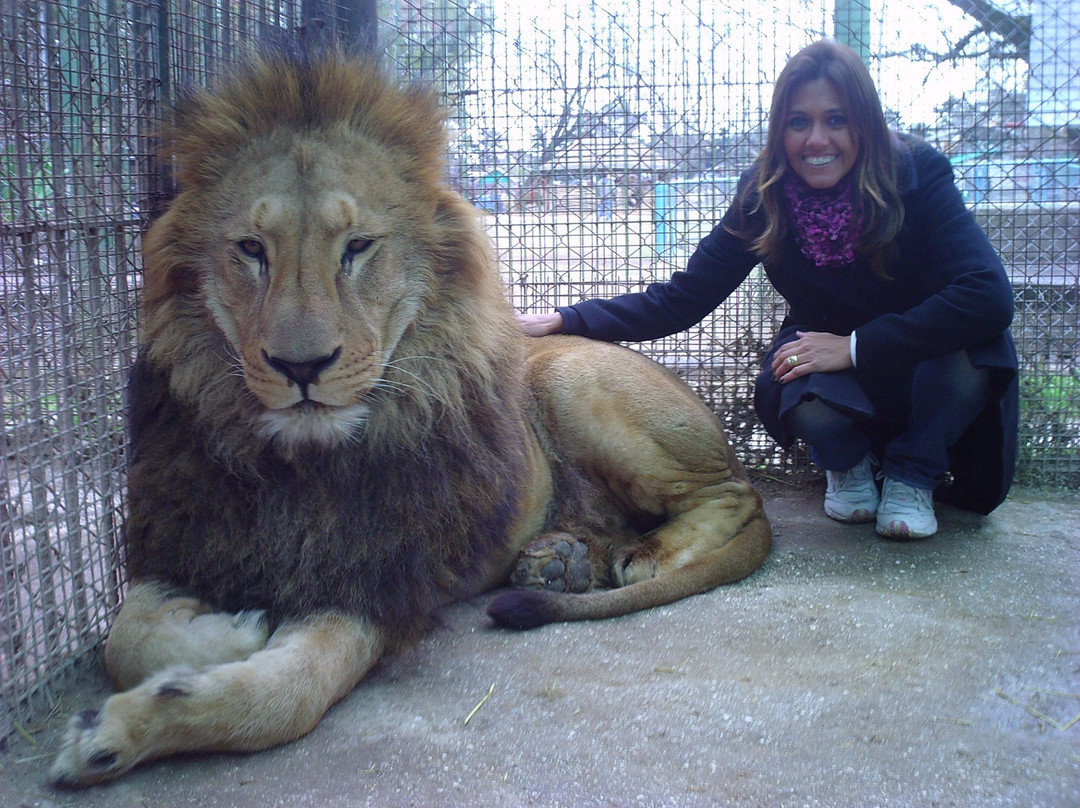 ZOO Lujan景点图片