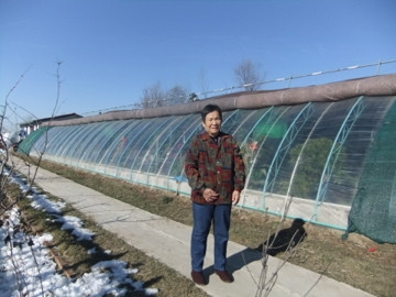 苇海鼎翔度假区-盘锦市必去景点