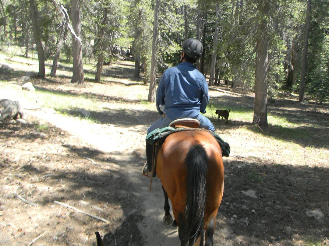 Sheridan Creek Equestrian Center-Gardnerville必去景点