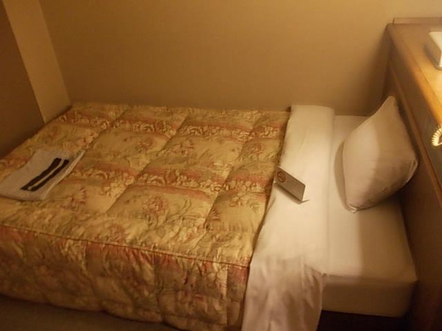 Tenndo Central Hotel-客卧