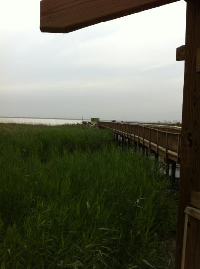 Duck Town Park Boardwalk景点图片