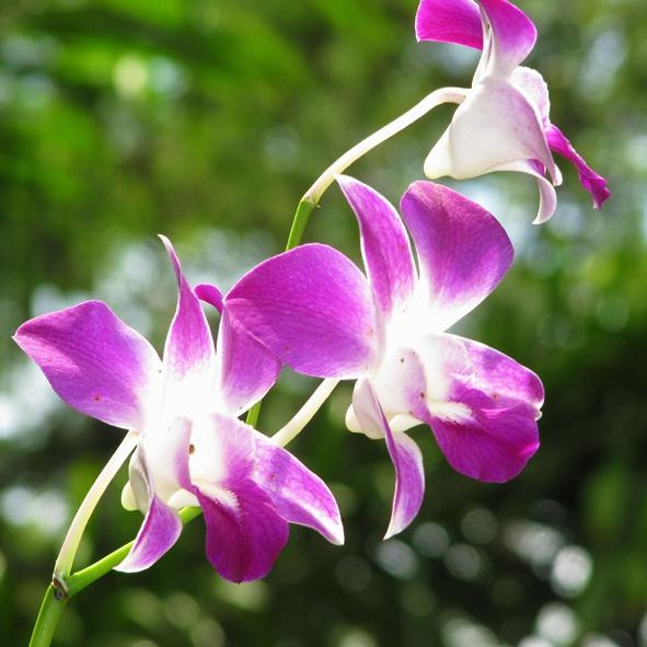 Raintree Lodge主图