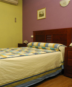 Hotel Corona de Castilla酒店图片