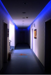 金洲假日酒店主图